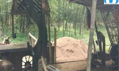 नेपाल सीमा पर अवैध आरा मिलों का खेल, वन विभाग ने कसा शिकंजा
