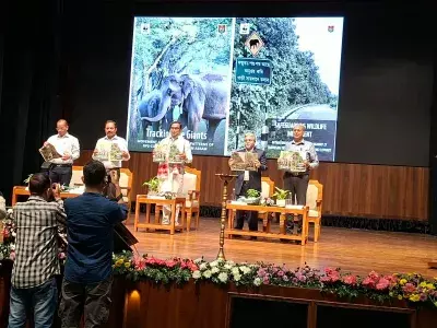 जंगल से चाय बागानों तक हाथियों का सफर, GPS स्टडी में चौंकाने वाले खुलासे