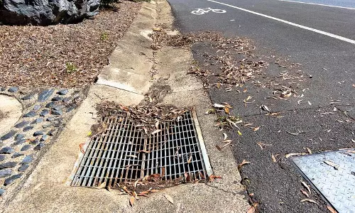 दिल्ली में जलभराव से मिलेगी राहत, बनेगी 4.5 KM लंबी नाली दिल्ली में जलभराव से मिलेगी राहत, बनेगी 4.5 KM लंबी नाली