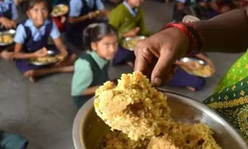 भोजन की गुणवत्ता जांचने के लिए उच्चस्तरीय समिति बनी