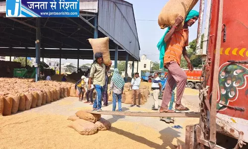 जलालाबाद में बाहर से आने वाले धान पर कड़ी नजर जलालाबाद में बाहर से आने वाले धान पर कड़ी नजर