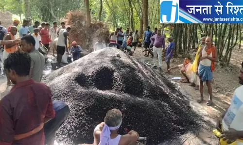 रिकॉर्ड उत्पादन के बावजूद मखाना किसानों पर बाजार की मार, आधे से भी नीचे पहुंचे भाव