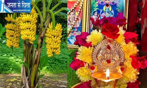 भगवान विष्णु को प्रिय माना जाता है केला, जानें गुरुवार पूजा का महत्व