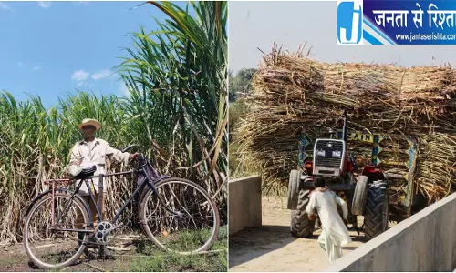 गन्ना किसानों को बड़ी सौगात, चार नई किस्में मंजूर गन्ना किसानों को बड़ी सौगात, चार नई किस्में मंजूर
