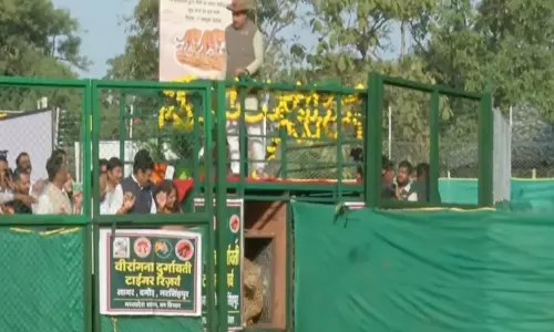 कूनो के बाद अब दुर्गावती रिजर्व में दौड़ेंगे चीते