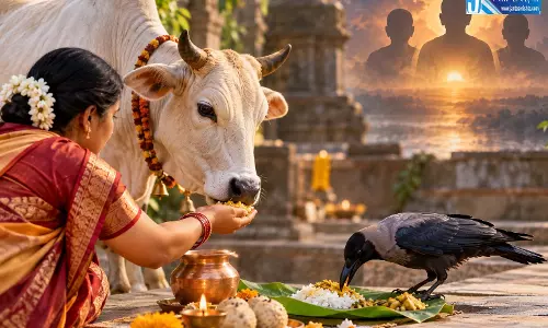 पितरों से जुड़ी है गाय-कौवे को भोजन कराने की परंपरा, जानें महत्व