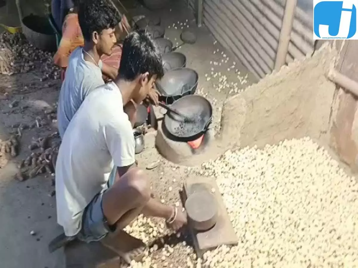 मखदुमपुर का मखाना पहुंचा विदेश, प्रोसेसिंग से बढ़ी आमदनी मखदुमपुर का मखाना पहुंचा विदेश, प्रोसेसिंग से बढ़ी आमदनी