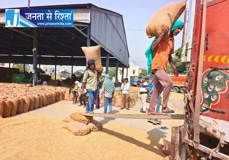 जलालाबाद में बाहर से आने वाले धान पर कड़ी नजर जलालाबाद में बाहर से आने वाले धान पर कड़ी नजर