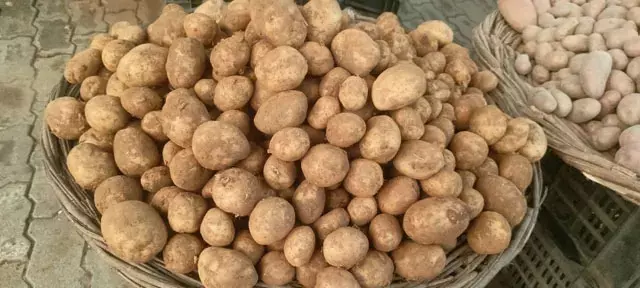 आलू किसानों को भंडारण पर मिलेगा 100 रुपये प्रति क्विंटल अनुदान आलू किसानों को भंडारण पर मिलेगा 100 रुपये प्रति क्विंटल अनुदान