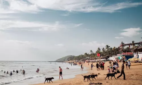 रूस में न्यूमोनिक प्लेग की आशंका से गोवा में अलर्ट की मांग रूस में न्यूमोनिक प्लेग की आशंका से गोवा में अलर्ट की मांग