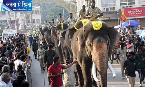 750 किलो की अंबारी उठाने की दौड़ में धनंजय आगे