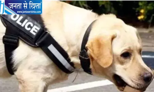 पुलिस डॉग ने खोला हत्या का राज, तीन दोस्त फरार