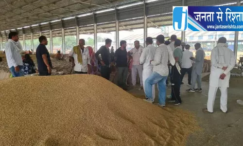 करनाल में धीमी खरीद से परेशान किसान, मजबूरी में बेचनी पड़ रही फसल
