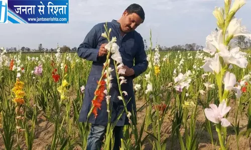 गन्ने और धान के साथ अब फूलों से महकेंगे खीरी के खेत, किसानों को मिलेगा सरकारी लाभ
