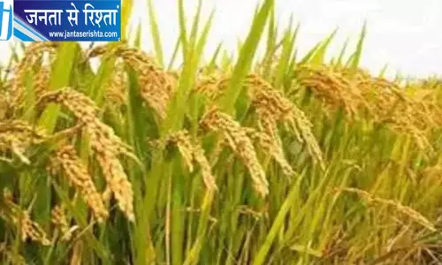 किसानों को बड़ा झटका, गेहूं के MSP में सिर्फ 25 रुपये की बढ़ोतरी, दलहन-तिलहन पर सरकार मेहरबान किसानों को बड़ा झटका, गेहूं के MSP में सिर्फ 25 रुपये की बढ़ोतरी, दलहन-तिलहन पर सरकार मेहरबान