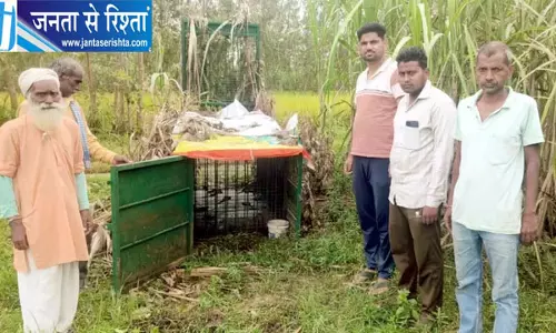 तेंदुए को पकड़ने के लिए लगाया पिंजरा, चोर बकरी ही ले उड़े तेंदुए को पकड़ने के लिए लगाया पिंजरा, चोर बकरी ही ले उड़े