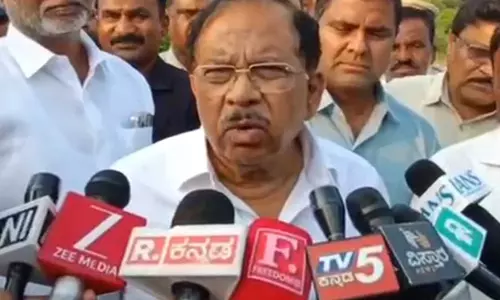 सूखे से किसान परेशान सरकार ने दिया राहत का भरोसा