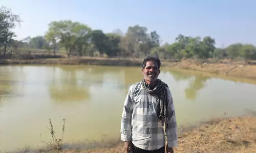 सेवा की कहानी: डबरी के गहरीकरण से बदली बाबूनाथ की खेती की तस्वीर सेवा की कहानी: डबरी के गहरीकरण से बदली बाबूनाथ की खेती की तस्वीर