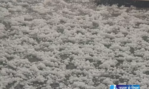 बांदीपोरा में बारिश और ओलों का कहर किसानों की बढ़ी चिंता बांदीपोरा में बारिश और ओलों का कहर किसानों की बढ़ी चिंता