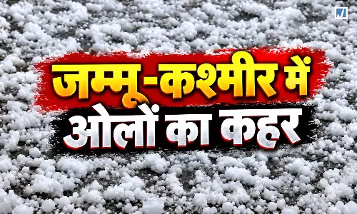 जम्मू-कश्मीर में ओलों का कहर, बांदीपोरा में खड़ी फसलों को नुकसान