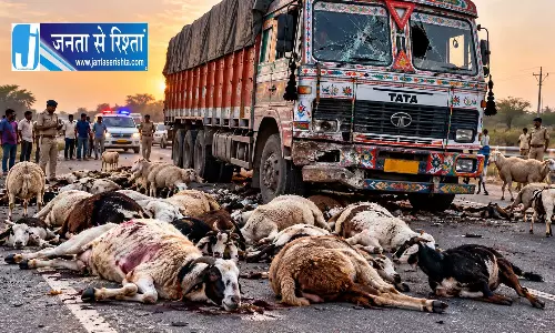 गुजरात में दर्दनाक हादसा, ट्रक ने 25 भेड़-बकरियों को कुचला