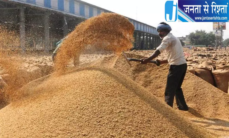 हरियाणा में धान की खरीद तेज, अब तक 2.57 लाख मीट्रिक टन की खरीदी हरियाणा में धान की खरीद तेज, अब तक 2.57 लाख मीट्रिक टन की खरीदी