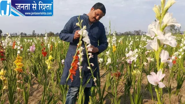 गन्ने और धान के साथ अब फूलों से महकेंगे खीरी के खेत, किसानों को मिलेगा सरकारी लाभ गन्ने और धान के साथ अब फूलों से महकेंगे खीरी के खेत, किसानों को मिलेगा सरकारी लाभ