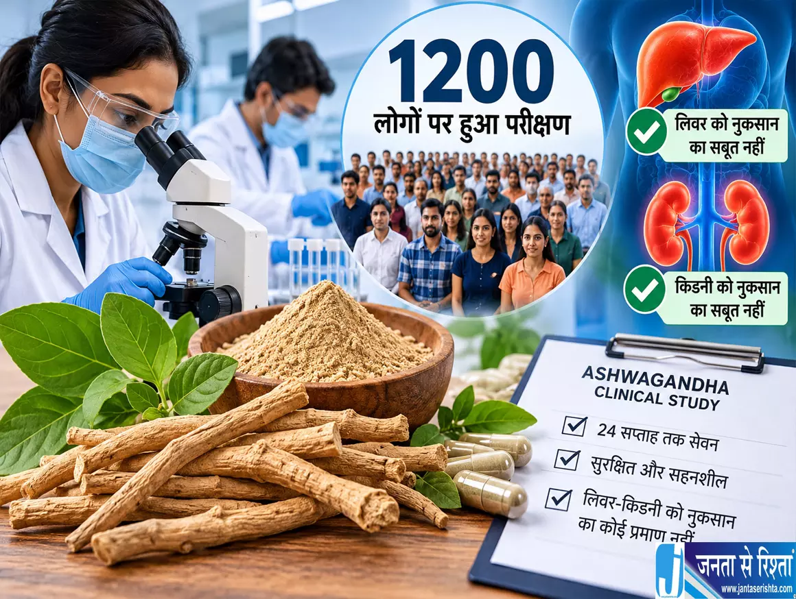 अश्वगंधा पर बड़ी रिसर्च 1200 लोगों पर हुआ परीक्षण अश्वगंधा पर बड़ी रिसर्च 1200 लोगों पर हुआ परीक्षण