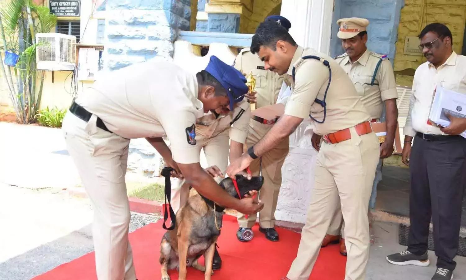 Andhra: नया खोजी कुत्ता जॉनी कडप्पा जिला पुलिस में शामिल हुआ Andhra: नया खोजी कुत्ता जॉनी कडप्पा जिला पुलिस में शामिल हुआ