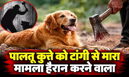 पालतू कुत्ते की टांगी से हत्या, बोरी में भरकर चौराहे पर फेंका