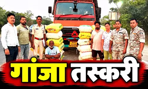 महासमुंद पुलिस की बड़ी कार्रवाई, 560 किलो गांजा जब्त