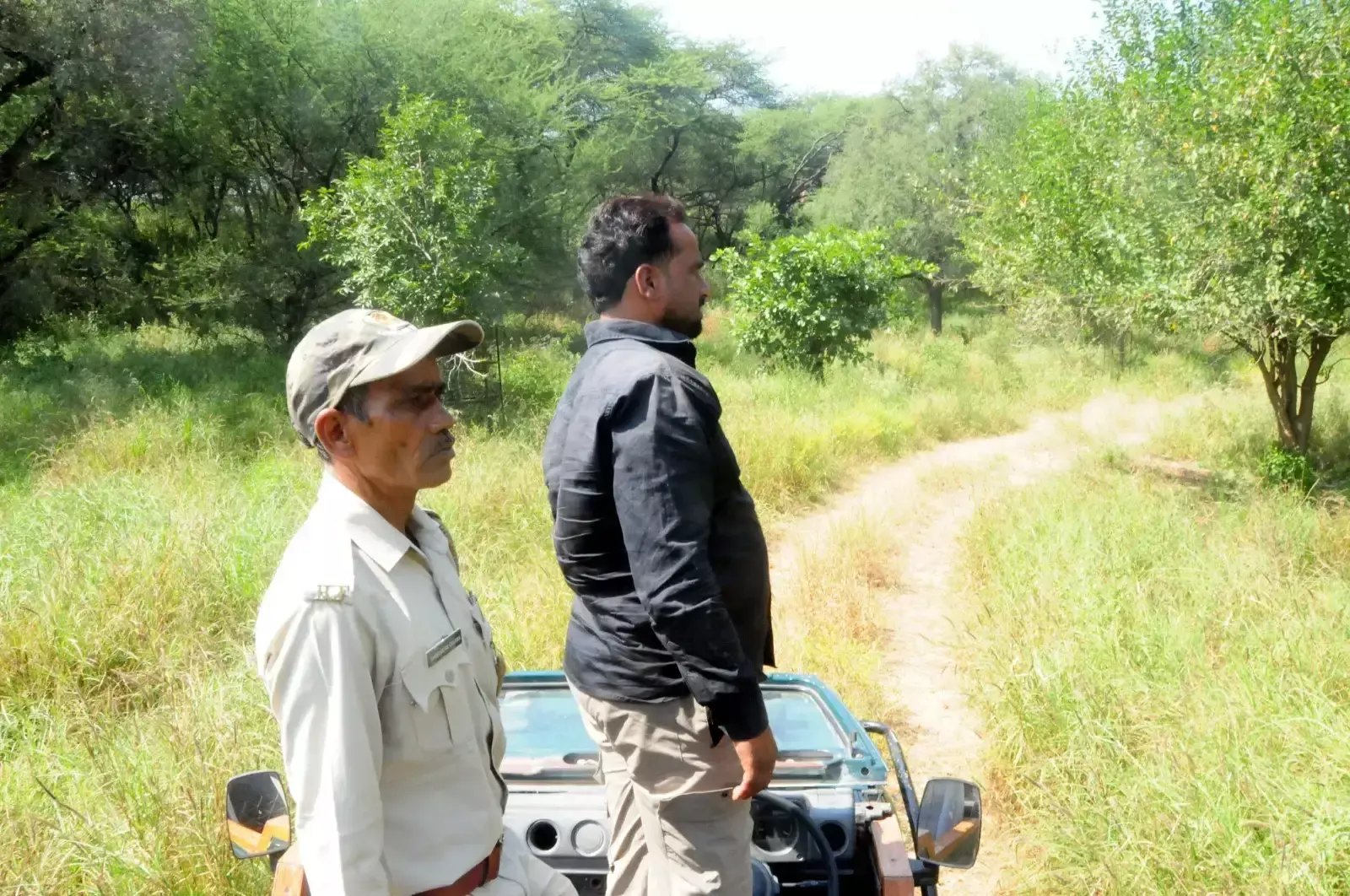 झालाना में दिनभर तलाश, 12 दिन बाद भी राणा का पता नहीं झालाना में दिनभर तलाश, 12 दिन बाद भी राणा का पता नहीं