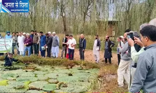 कश्मीर की झीलों में अब होगी मखाने की खेती, किसानों की आय बढ़ाने की नई पहल कश्मीर की झीलों में अब होगी मखाने की खेती, किसानों की आय बढ़ाने की नई पहल