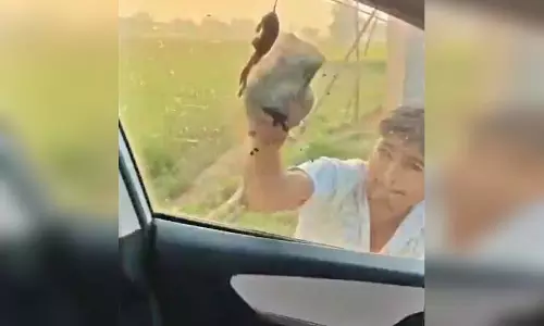 कार सवार मां-बेटी पर ईंट-पत्थरों से हमला, बच्ची की चीखें वीडियो में कैद कार सवार मां-बेटी पर ईंट-पत्थरों से हमला, बच्ची की चीखें वीडियो में कैद