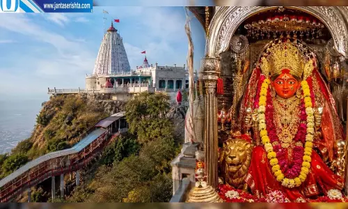 मैहर में 10 दिन मांस, मछली और अंडे की बिक्री बंद, SDM ने जारी किया आदेश