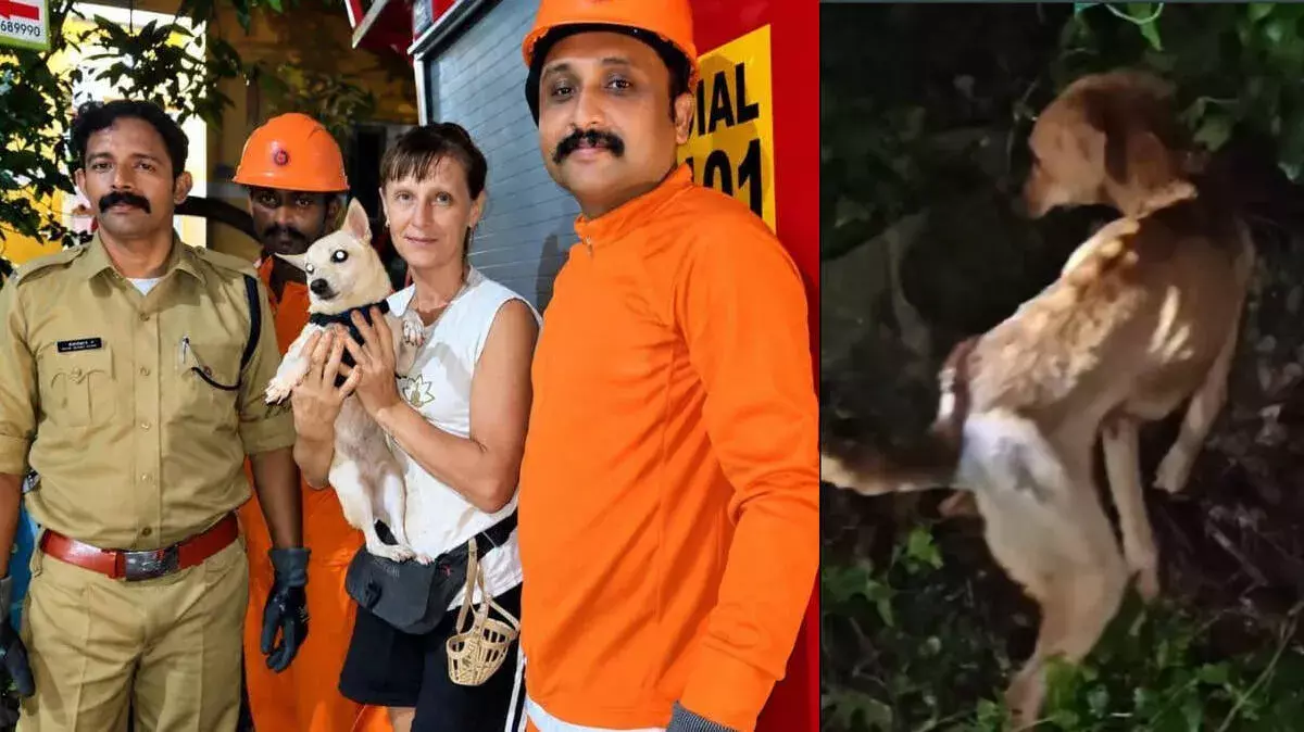 रूसी पशु प्रेमी की मिसाल: कुएं में फंसे बेजुबान को मिली नई जिंदगी रूसी पशु प्रेमी की मिसाल: कुएं में फंसे बेजुबान को मिली नई जिंदगी