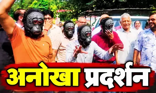 बंदरों के आतंक से लोग परेशान, इस अंदाज में DM से लगाई गुहार बंदरों के आतंक से लोग परेशान, इस अंदाज में DM से लगाई गुहार