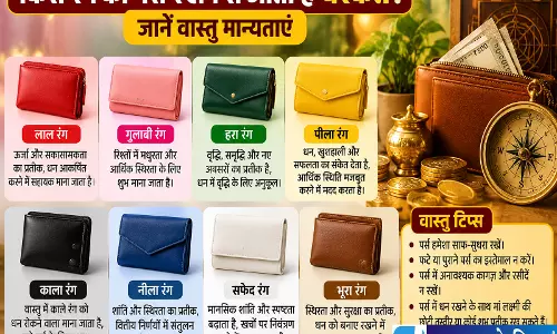 किस रंग का पर्स रखने से आती है बरकत जानें वास्तु मान्यताएं