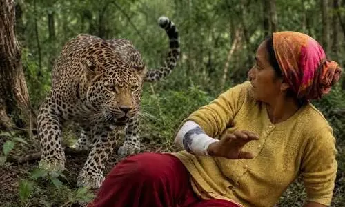 घास काटने गई महिला पर गुलदार का हमला