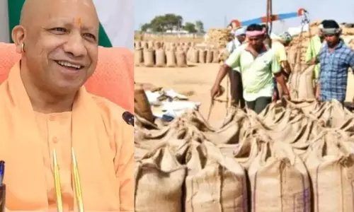 यूपी में 12 अक्टूबर से शुरू होगी धान की सरकारी खरीद, मोटे अनाज के MSP भी तय