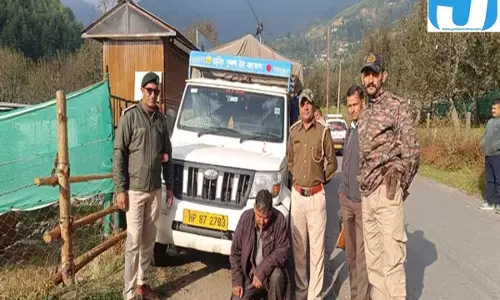करसोग में देवदार तेल की बड़ी खेप जब्त, 1,363 लीटर ऑयल बरामद