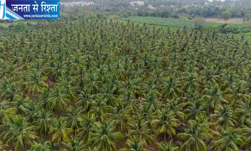 बिदादी टाउनशिप प्रोजेक्ट के लिए 1800 करोड़ से ज्यादा का मुआवजा जारी बिदादी टाउनशिप प्रोजेक्ट के लिए 1800 करोड़ से ज्यादा का मुआवजा जारी