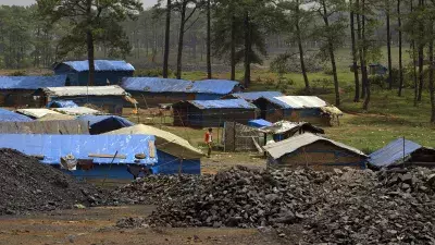 कोयले के स्टॉक में बड़ा अंतर, हाई कोर्ट की रिपोर्ट में खुलासा
