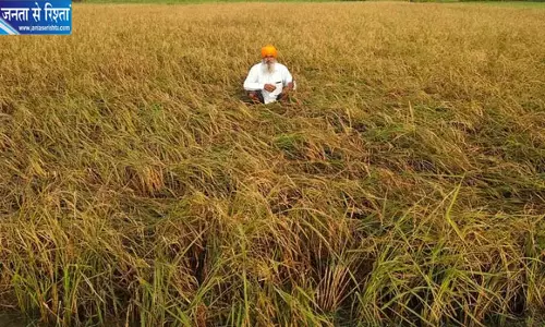 उत्तराखंड में बारिश और ओलावृष्टि से फसलों को भारी नुकसान उत्तराखंड में बारिश और ओलावृष्टि से फसलों को भारी नुकसान