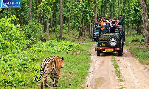 टाइगर सफारी में मोबाइल फोन पर बैन, अब जंगल में नहीं ले सकेंगे सेल्फी और वीडियो