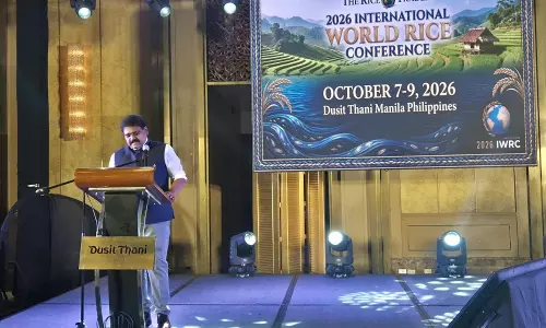 30,000 टन चावल निर्यात के बाद ग्लोबल मार्केट की ओर तेलंगाना 30,000 टन चावल निर्यात के बाद ग्लोबल मार्केट की ओर तेलंगाना