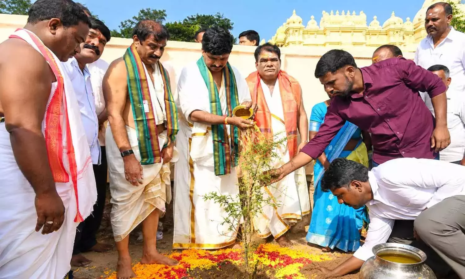 Telangana: ग्रीन इंडिया चैलेंज ने जम्मी का पौधा लगाने का अभियान शुरू किया Telangana: ग्रीन इंडिया चैलेंज ने जम्मी का पौधा लगाने का अभियान शुरू किया