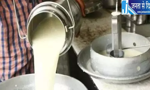 मिल्क क्रीम में मिलावट का खुलासा, लैब रिपोर्ट में पुष्टि