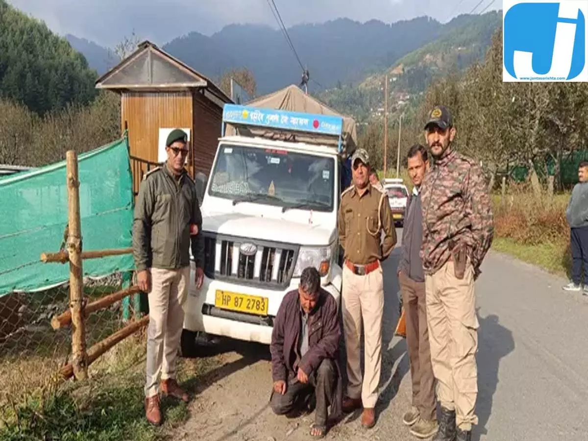 करसोग में देवदार तेल की बड़ी खेप जब्त, 1,363 लीटर ऑयल बरामद करसोग में देवदार तेल की बड़ी खेप जब्त, 1,363 लीटर ऑयल बरामद