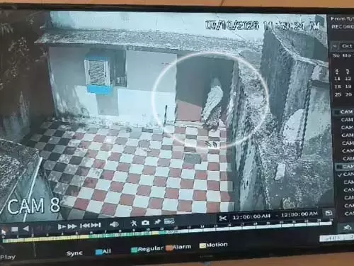 दुर्ग में यूट्यूबर पर महिला से मारपीट का आरोप, CCTV वायरल दुर्ग में यूट्यूबर पर महिला से मारपीट का आरोप, CCTV वायरल
